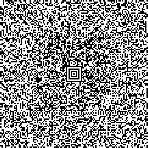 Large Aztec Code
